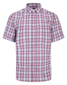 Bigdude Cutaway Collar Checked Shirt Pink/White Tall